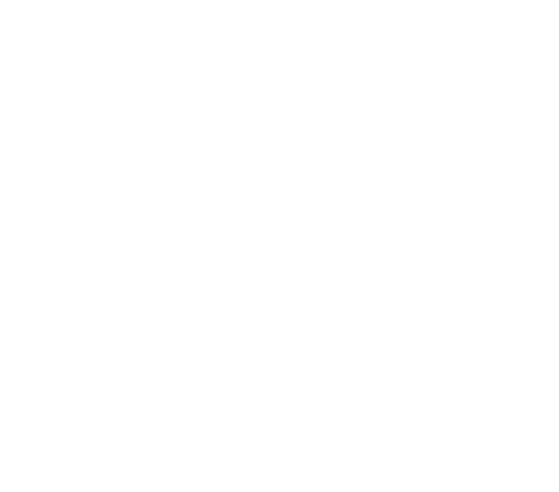 Maestro